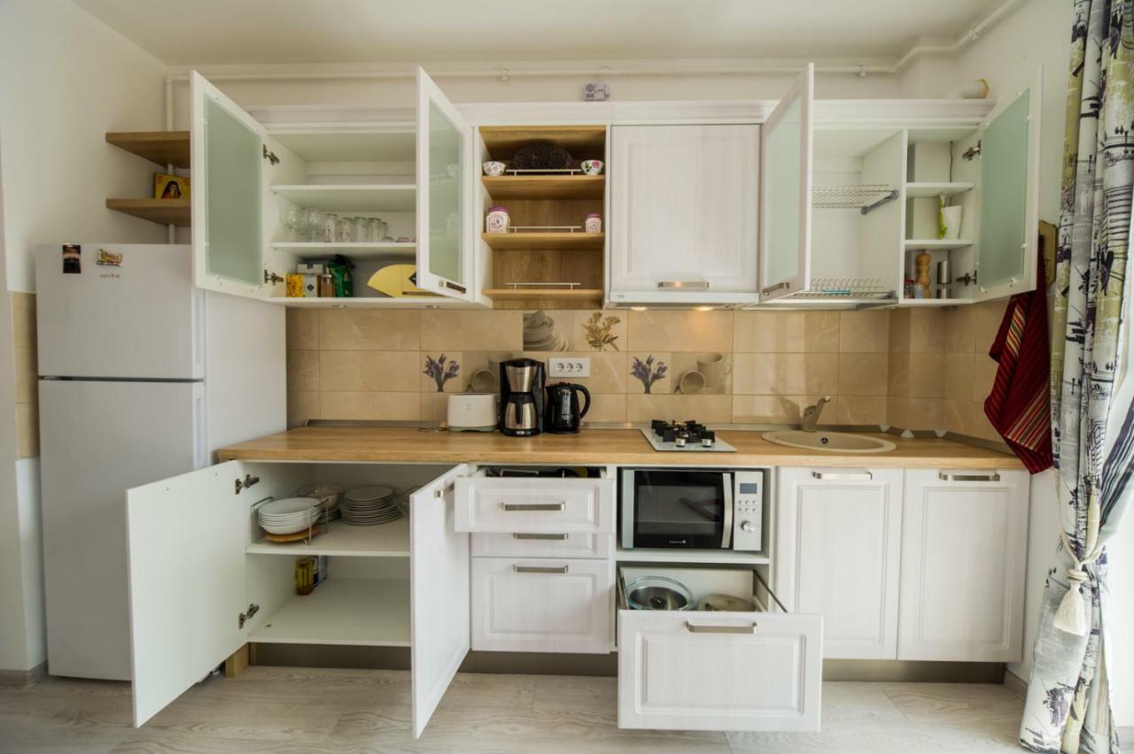 Apartment Schiller 57 - Free Private Parking Brasov