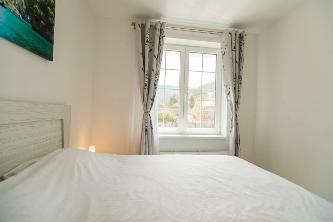 Apartment Schiller 57 - Free Private Parking Brasov